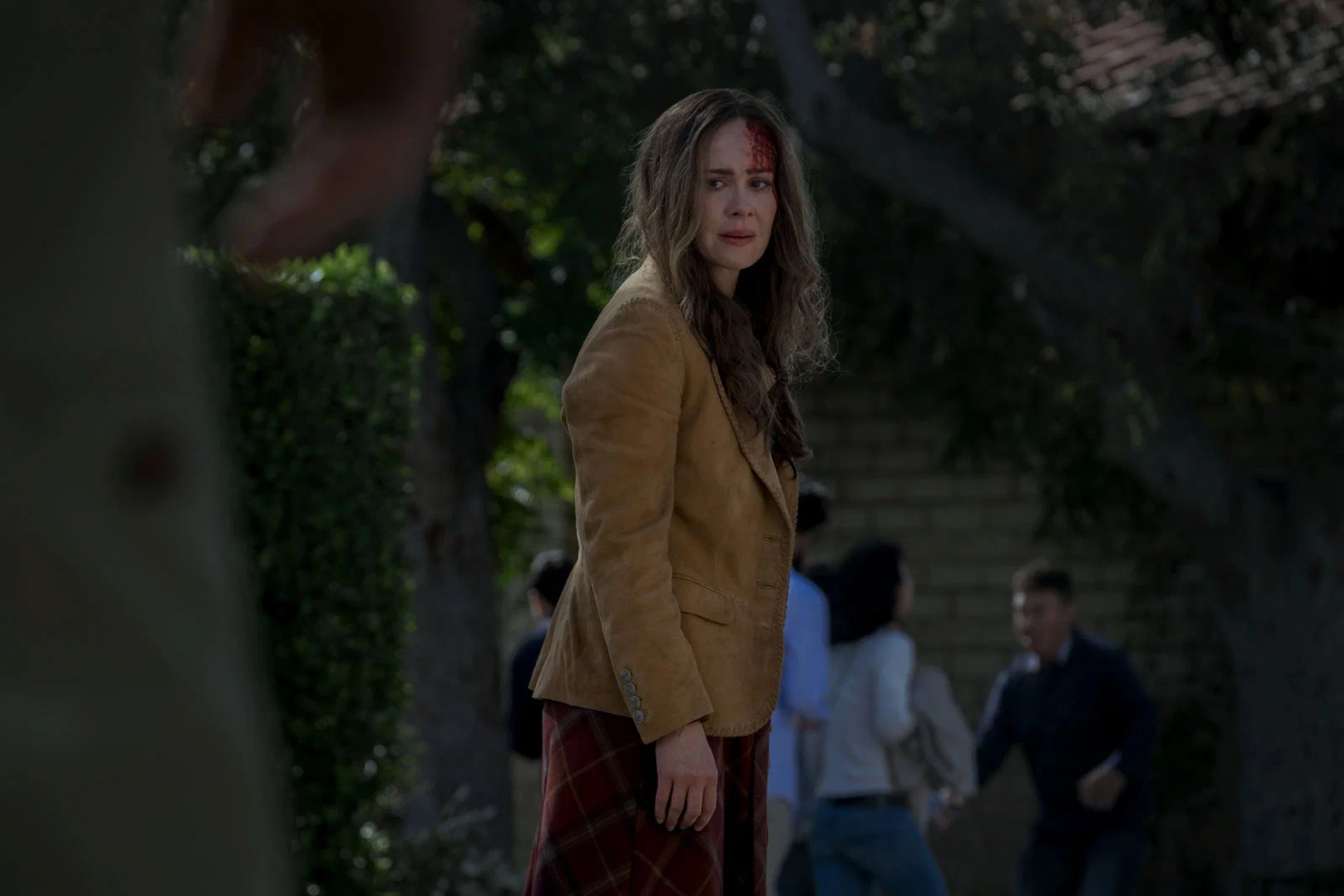 Птичий короб