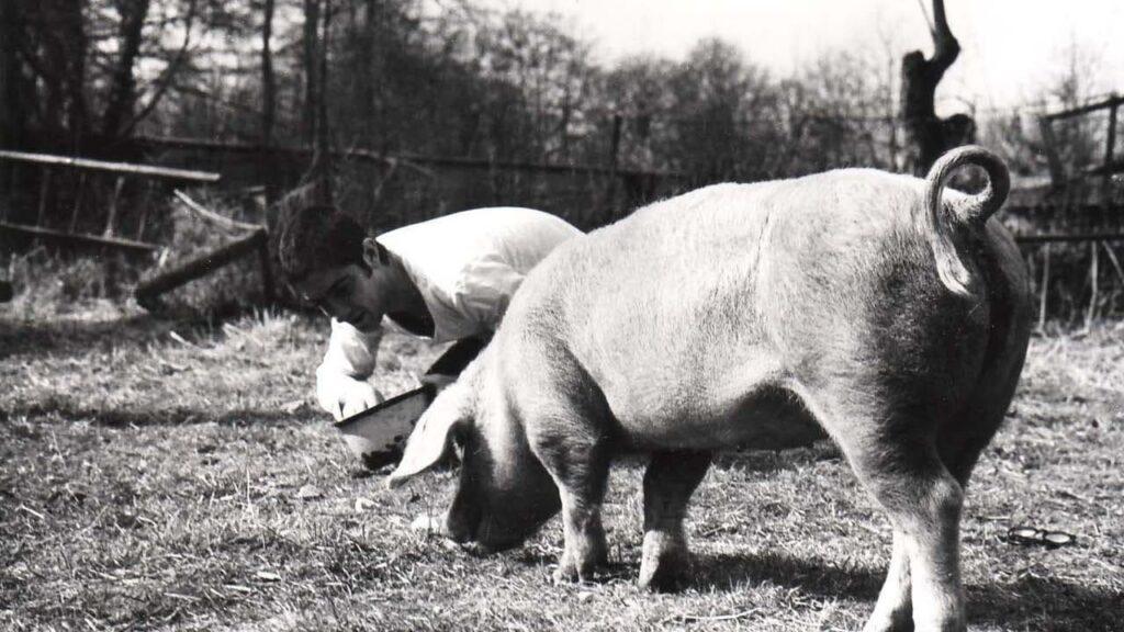 Свадебная Ваза